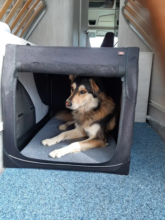 Bild 23: Roller Team Wohnmobil in Wesenberg mieten