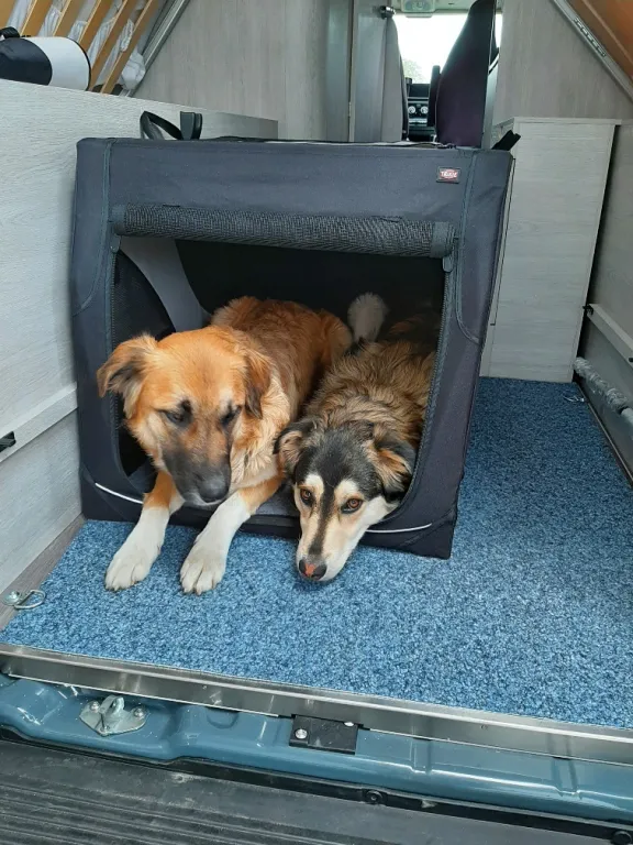 Bild 24: Wohnmobil für 4 Personen in Wesenberg mieten